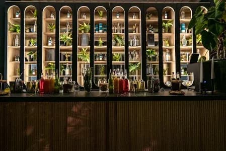 Servicio profesional de barras